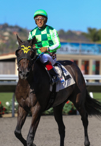 Sunset Glow Sorrento Stakes